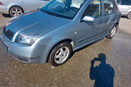 Skoda Fabia Gebrauchtwagen