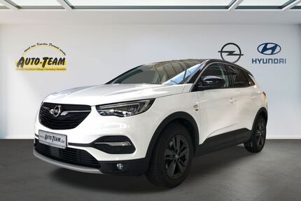 Opel Grandland (X) Gebrauchtwagen