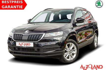 Skoda Karoq Gebrauchtwagen