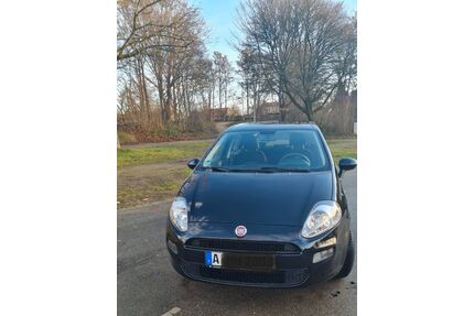 Fiat Punto Gebrauchtwagen