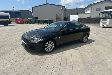 Jaguar XE Gebrauchtwagen