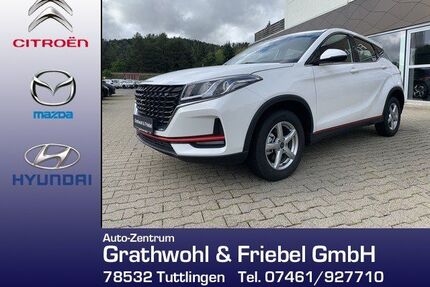 DFSK Fengon Gebrauchtwagen