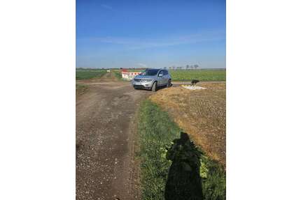 Nissan Murano Gebrauchtwagen