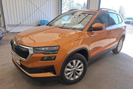 Skoda Karoq Gebrauchtwagen