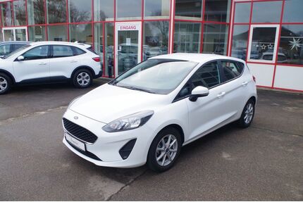 Ford Fiesta Gebrauchtwagen