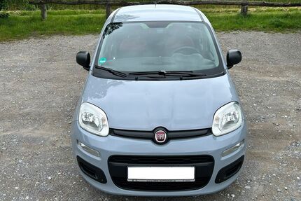 Fiat New Panda Gebrauchtwagen