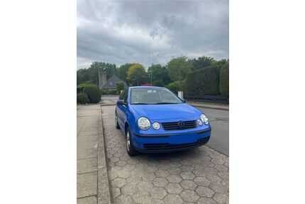VW Polo Gebrauchtwagen
