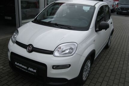 Fiat Panda Gebrauchtwagen