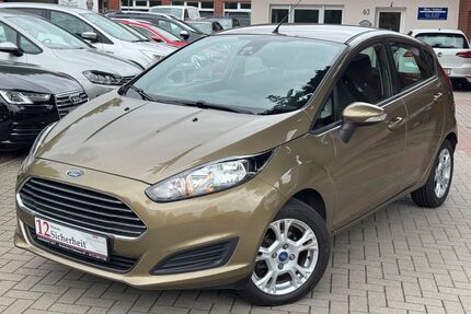 Ford Fiesta Gebrauchtwagen