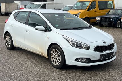 Kia ceed / Ceed Gebrauchtwagen
