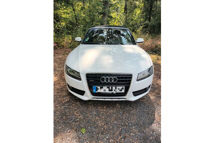 Audi Cabriolet Gebrauchtwagen
