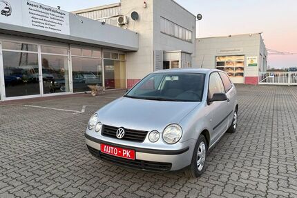 VW Polo Gebrauchtwagen