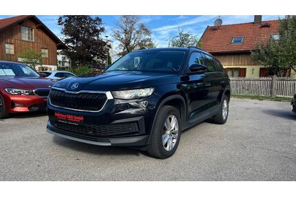 Skoda Kodiaq Gebrauchtwagen