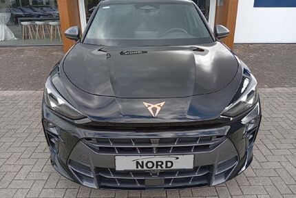 Cupra Terramar Gebrauchtwagen