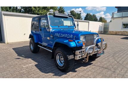 Jeep Wrangler Gebrauchtwagen