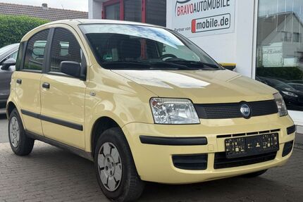 Fiat Panda Gebrauchtwagen