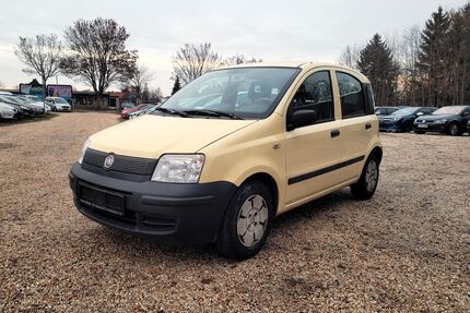Fiat Panda Gebrauchtwagen