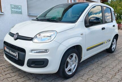 Fiat Panda Gebrauchtwagen