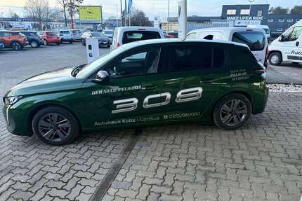 Peugeot 308 Gebrauchtwagen