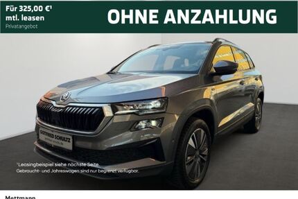 Skoda Karoq Gebrauchtwagen