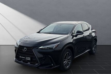 Lexus NX 350h Gebrauchtwagen
