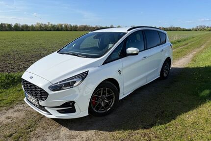 Ford S-Max Gebrauchtwagen