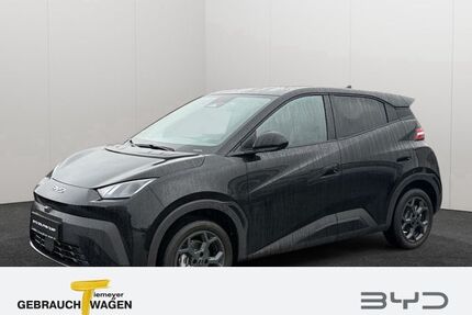 BYD DOLPHIN Gebrauchtwagen