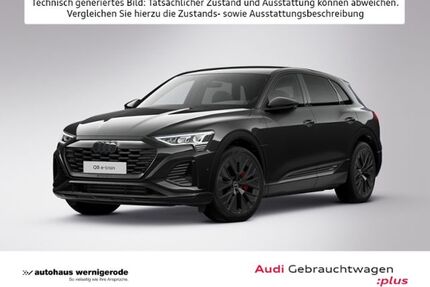 Audi Q8 e-tron Gebrauchtwagen