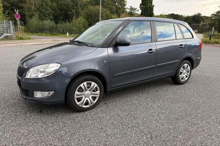 Skoda Fabia Gebrauchtwagen