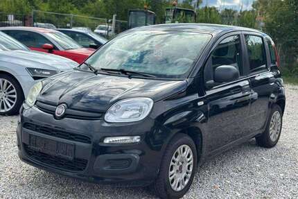 Fiat Panda Gebrauchtwagen