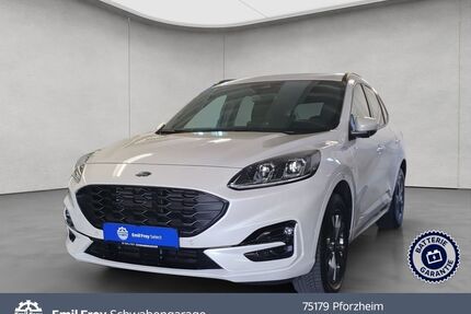 Ford Kuga Gebrauchtwagen