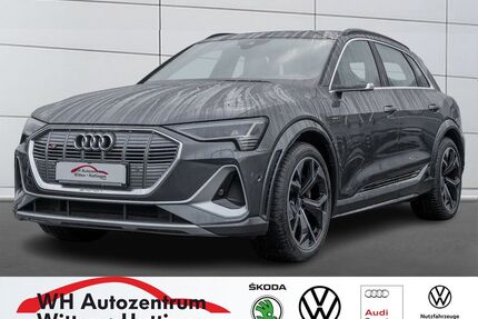 Audi e-tron Gebrauchtwagen
