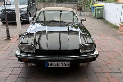 Jaguar XJS Gebrauchtwagen