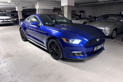 Ford Mustang Gebrauchtwagen