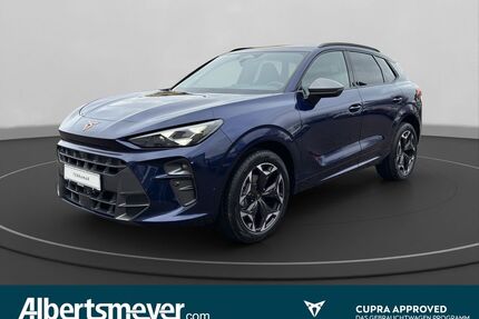 Cupra Terramar Gebrauchtwagen