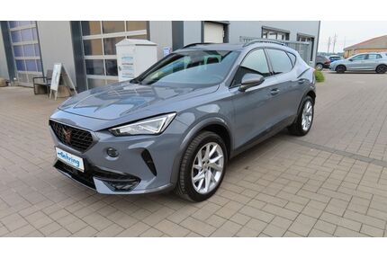 Cupra Formentor Gebrauchtwagen