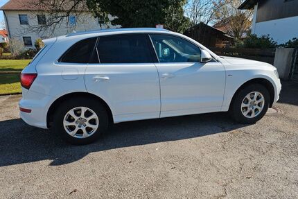 Audi Q5 Gebrauchtwagen