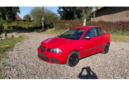 Seat Ibiza Gebrauchtwagen