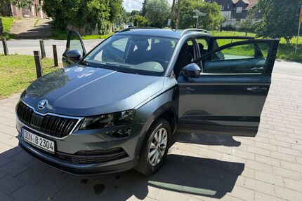 Skoda Karoq Gebrauchtwagen