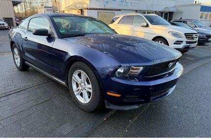 Ford Mustang Gebrauchtwagen