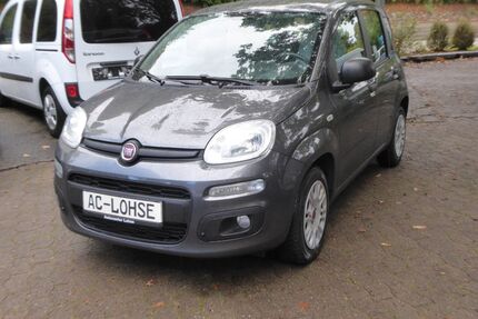Fiat New Panda Gebrauchtwagen