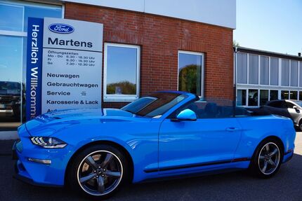 Ford Mustang Gebrauchtwagen