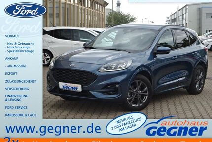 Ford Kuga Gebrauchtwagen