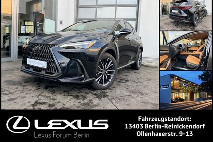 Lexus NX 450h Gebrauchtwagen