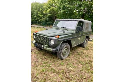 Mercedes-Benz G 250 Gebrauchtwagen