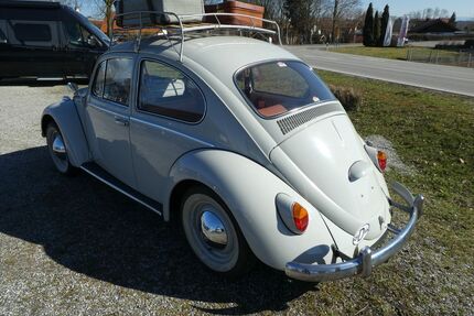 VW Käfer Gebrauchtwagen