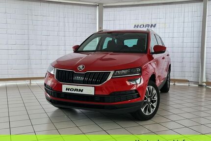 Skoda Karoq Gebrauchtwagen