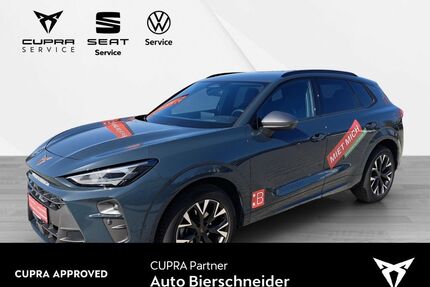Cupra Terramar Gebrauchtwagen