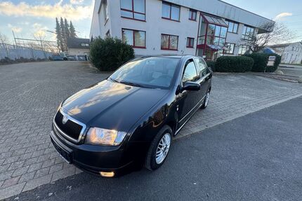 Skoda Fabia Gebrauchtwagen