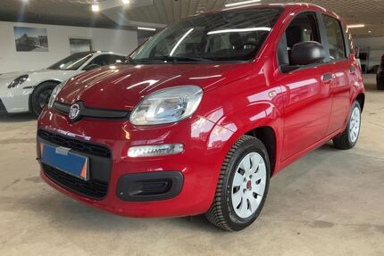 Fiat Panda Gebrauchtwagen